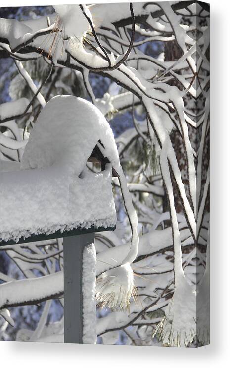 Birdhouse Canvas Print featuring the photograph Closed Due to Snow by Diane Zucker