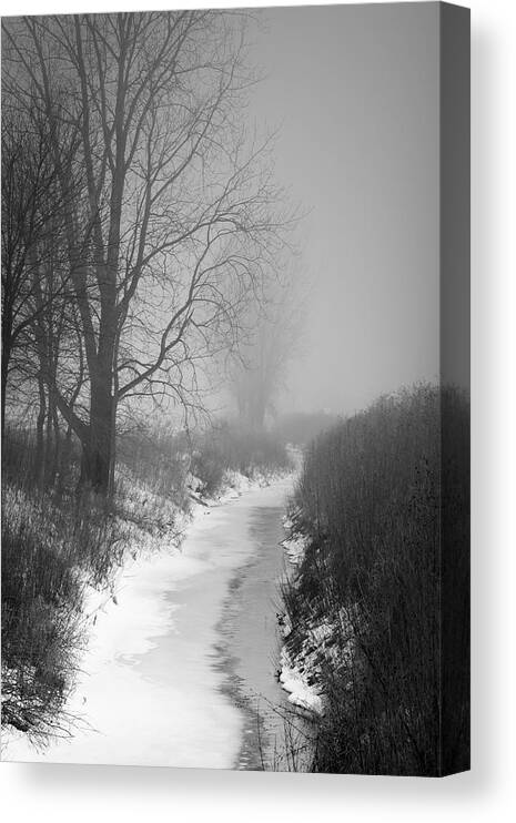 Landscape Canvas Print featuring the photograph Cold Fog by Cathy Beharriell