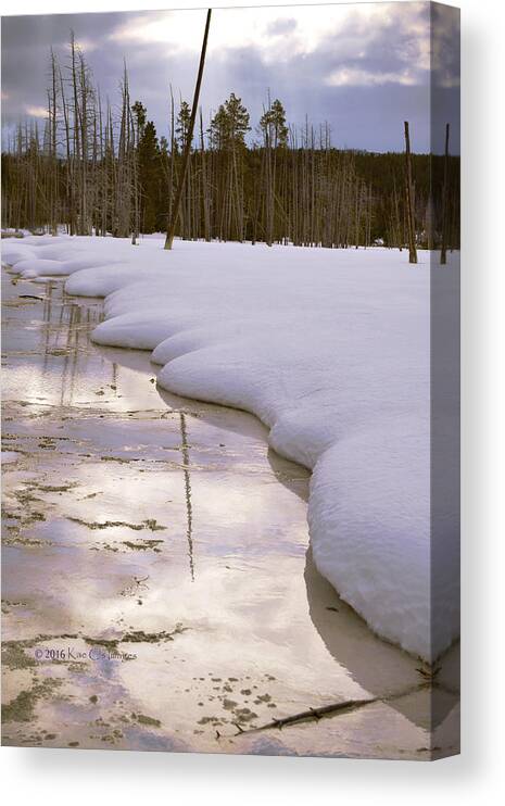 Winter Canvas Print featuring the photograph Cold Reflections by Kae Cheatham