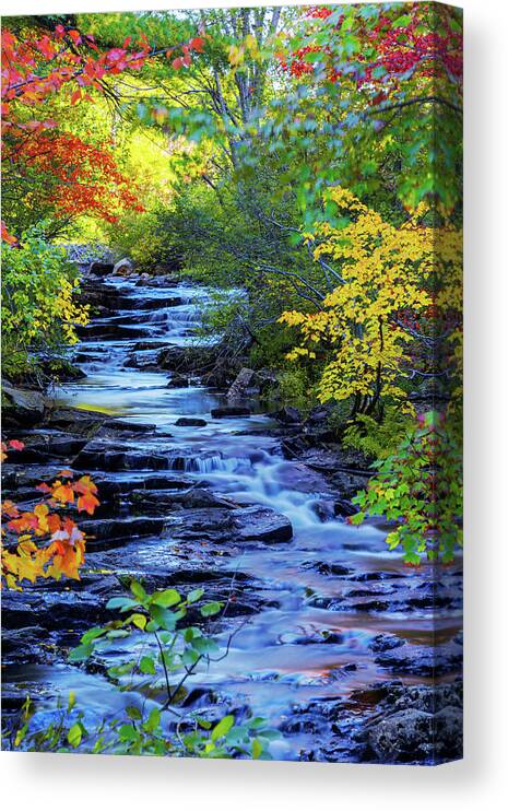 Color Alley Canvas Print featuring the photograph Color Alley by Chad Dutson