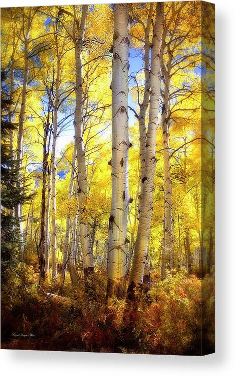Colorado Canvas Print featuring the photograph Aspen Magic  by Harriet Feagin