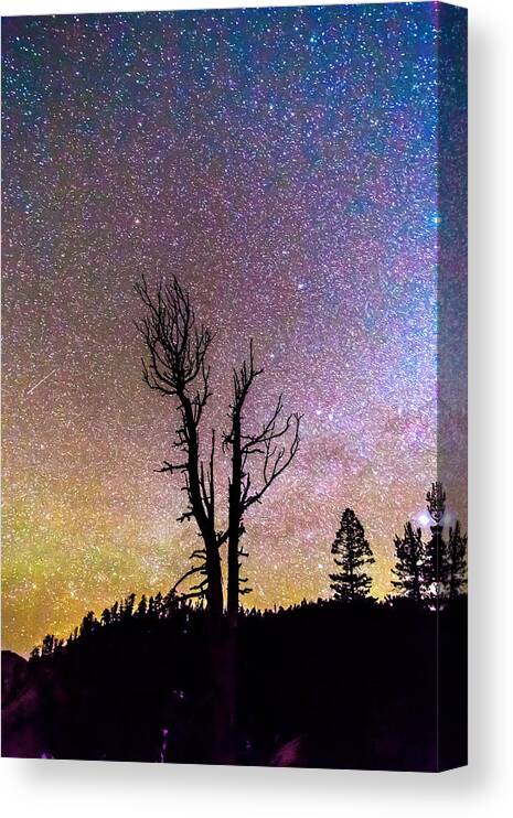 Sky Canvas Print featuring the photograph Colorful Celestial Night Portrait by James BO Insogna