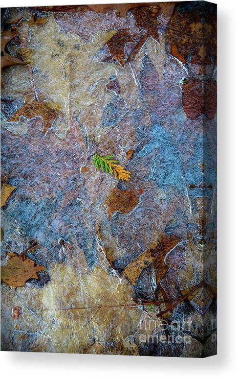 December Canvas Print featuring the photograph Colorful December by Alana Ranney