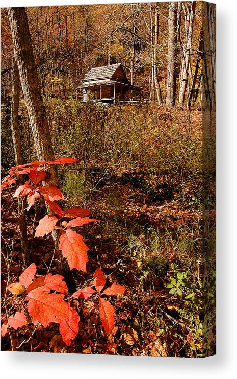 Log Cabin Canvas Print featuring the photograph Cook Cabin by Alan Lenk