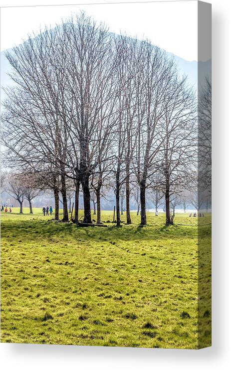Spring Canvas Print featuring the photograph Copse Eclipse by W Chris Fooshee