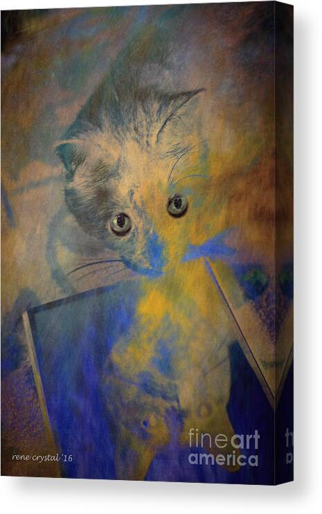 Kitty Canvas Print featuring the photograph Could it be? Another kitty as pretty as me? by Rene Crystal