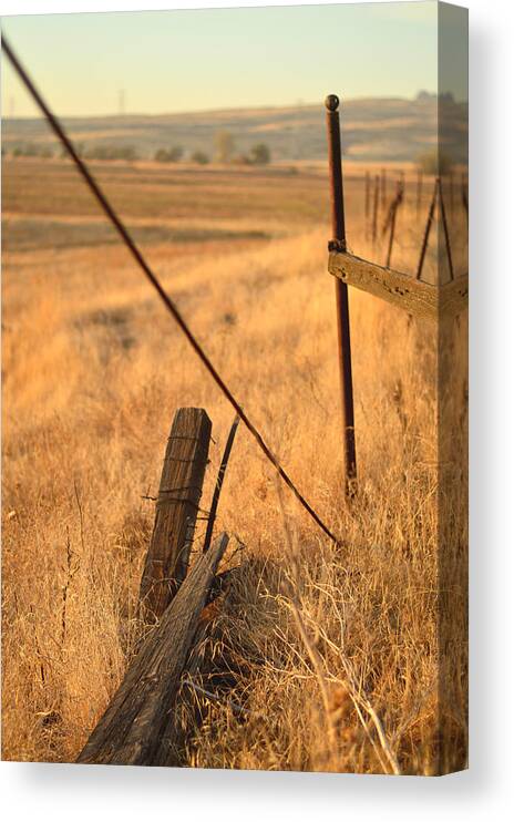 Country Canvas Print featuring the photograph Country Lines by Pamela Patch