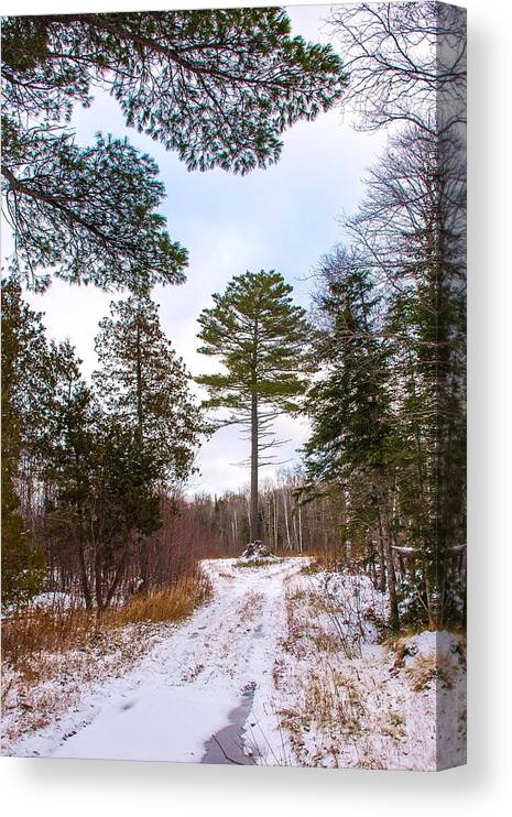 Snow Canvas Print featuring the photograph Country Winter 14 by Wesley Farnsworth