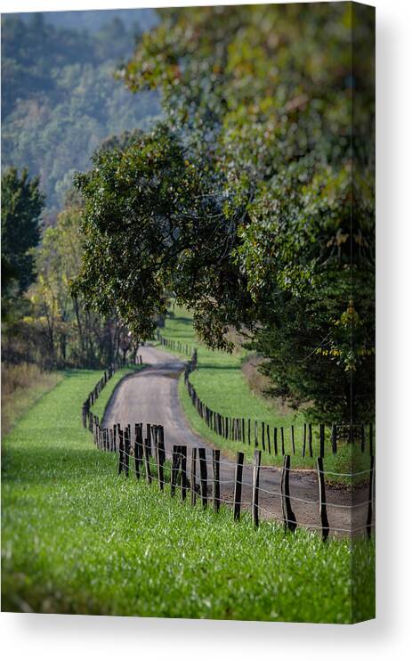 Cades Cove Canvas Print featuring the photograph County Road by Dmdcreative Photography