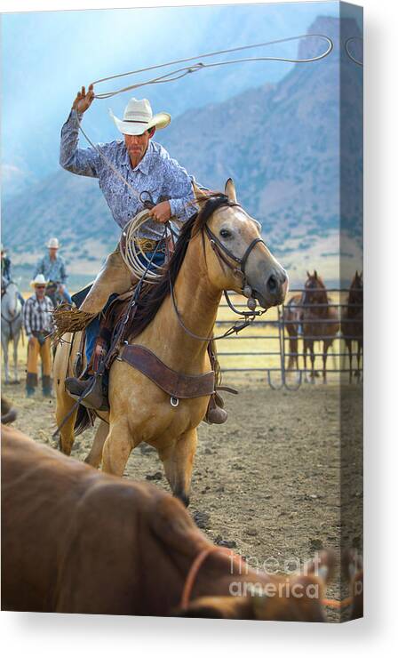 Cowboy Canvas Print featuring the photograph Cowboy Roping a Steer by Diane Diederich