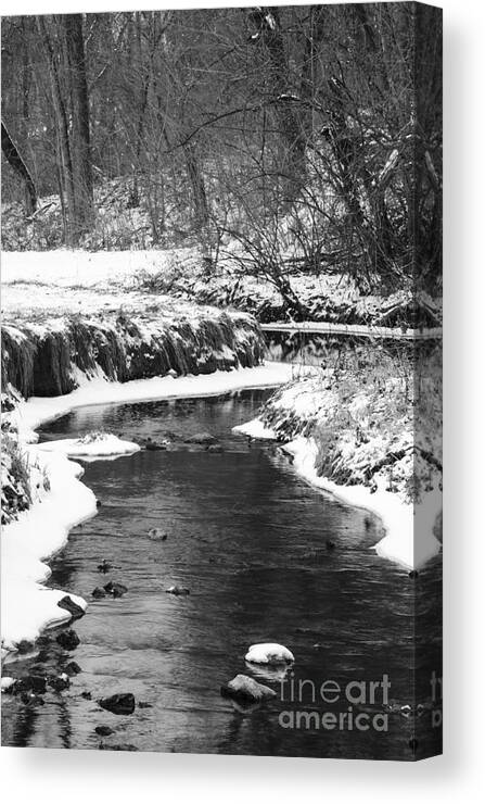 Creek Canvas Print featuring the photograph Creek In The Woods In Winter by Tamara Becker