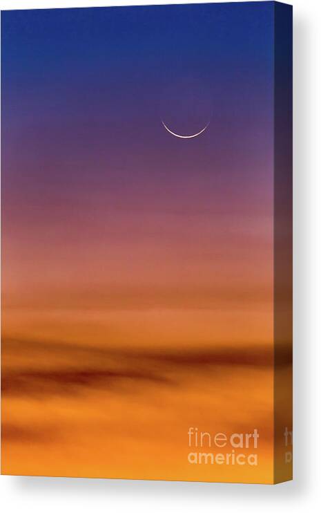 Cresent Moon Canvas Print featuring the photograph Cresent Moonrise by Doug Sturgess