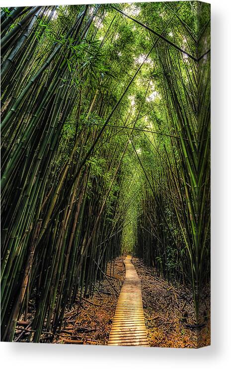 Pathway Canvas Print featuring the photograph Crooked Path by Chuck Jason