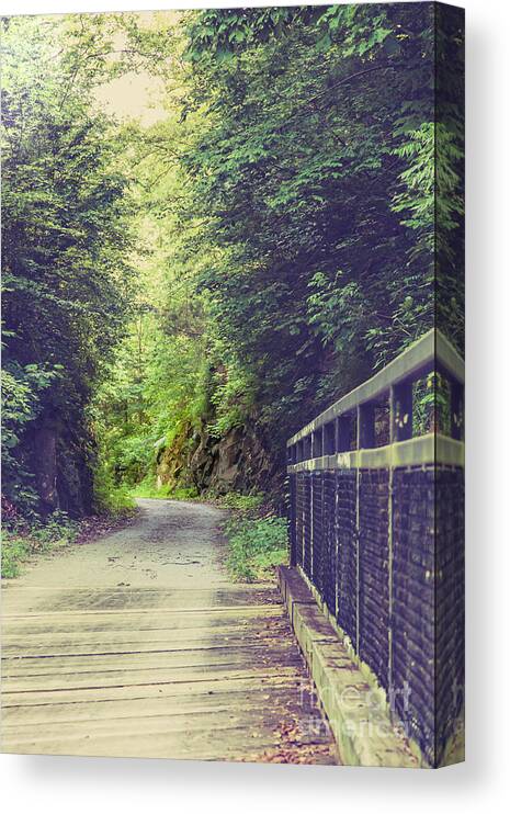 2016 Canvas Print featuring the photograph Crossing a Stream by Larry Braun
