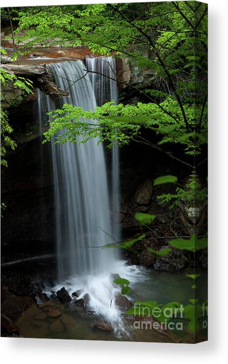 Waterfall Canvas Print featuring the photograph Cucumber Falls by Rich S