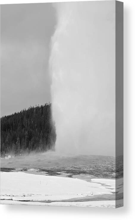 Yellowstone Canvas Print featuring the photograph Black and White Winter Eruption of Old Faithful Geyser by Bruce Gourley