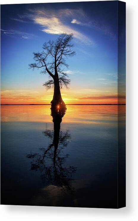 Tree Canvas Print featuring the photograph Cypress Sunset Reflection by Alan Raasch