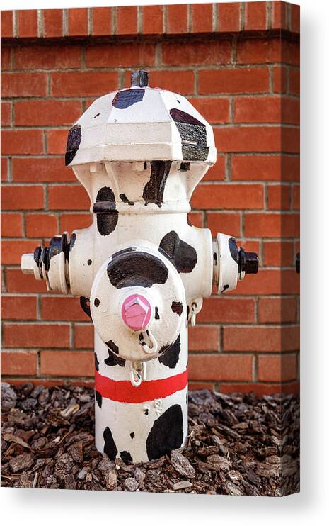 Hydrant Canvas Print featuring the photograph Dalmation Hydrant by James Eddy