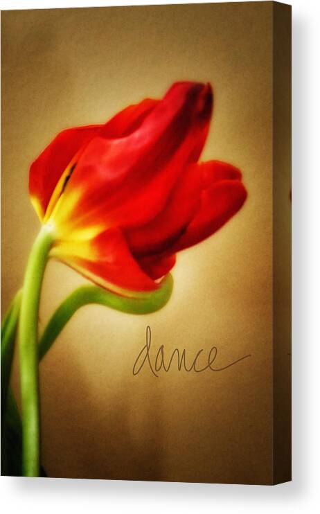 Red And Yellow Tulips Canvas Print featuring the photograph Dance by Mary Timman