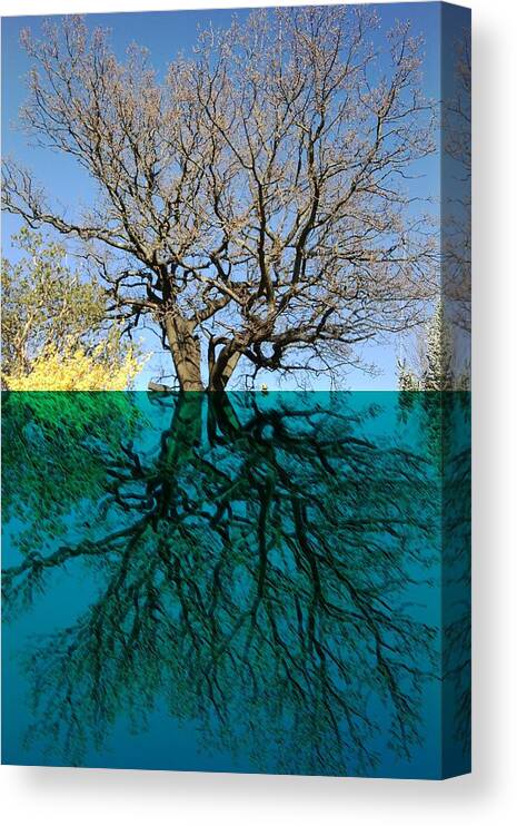 Dancers Canvas Print featuring the mixed media Dancers Tree Reflection by Julia Woodman