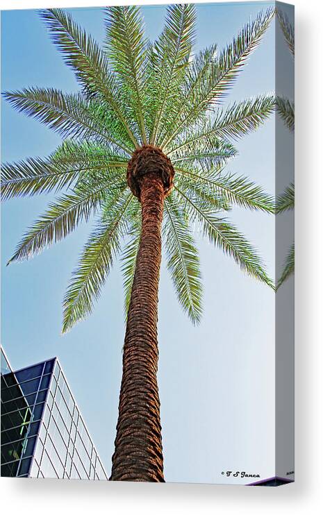 Date Palm In The City Canvas Print featuring the digital art Date Palm In The City by Tom Janca