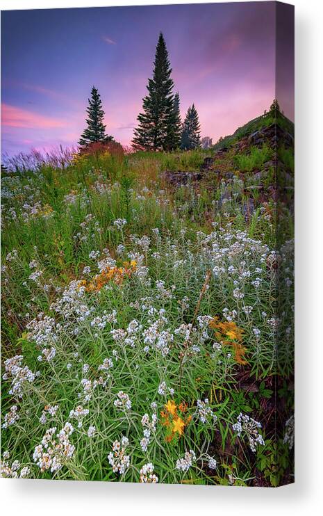Height Of Land Canvas Print featuring the photograph Dawn at Height of Land by Rick Berk