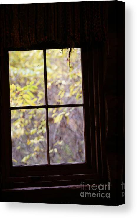 Window Canvas Print featuring the photograph Daydream by Linda Shafer