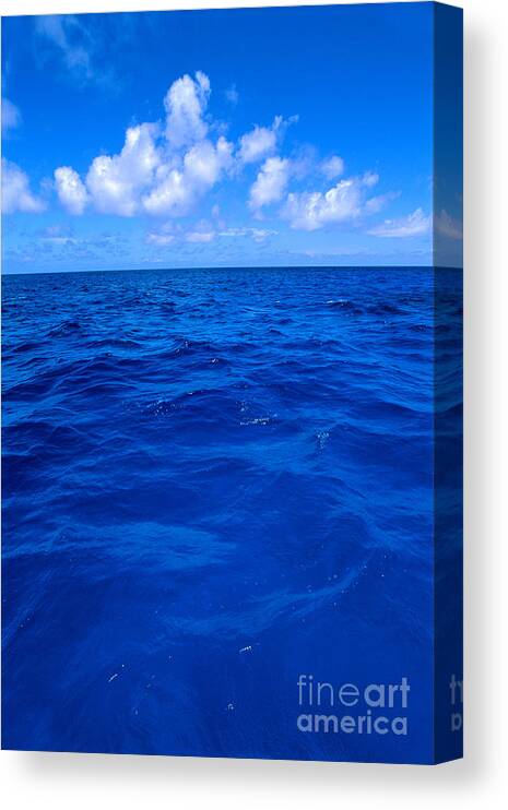 Afternoon Canvas Print featuring the photograph Deep Blue Ocean by Greg Vaughn - Printscapes