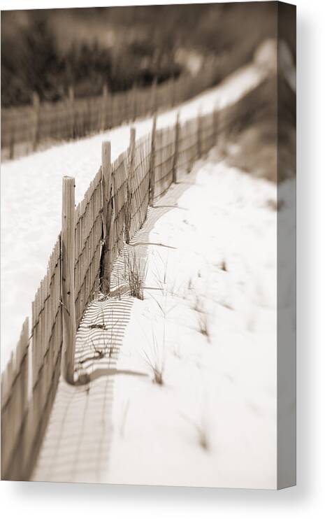 Sand Dunes Canvas Print featuring the photograph Delaware Dunes Number Fourteen by Bob Coates