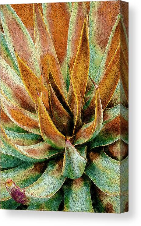 Agave Canvas Print featuring the photograph Desert Agave by Julie Palencia