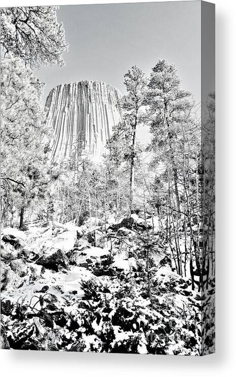 Devils Tower Canvas Print featuring the photograph Devils Tower Wyoming by Merle Grenz