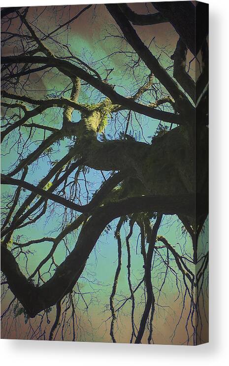 Connie Handscomb Canvas Print featuring the photograph Dialogue by Connie Handscomb