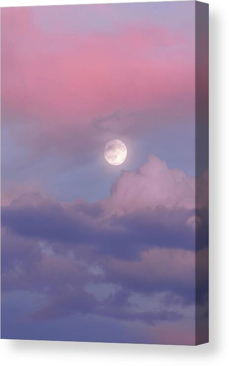 Dreamy Canvas Print featuring the photograph Dreamy by Chad Dutson