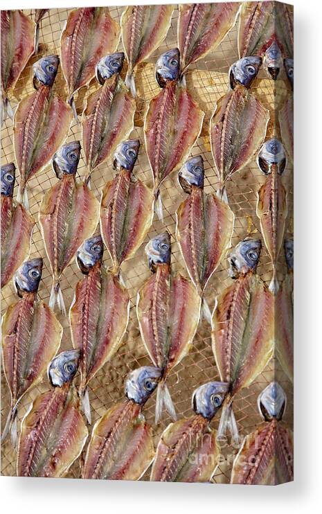 Abstract Canvas Print featuring the photograph Drying Fish on a Rack by Heiko Koehrer-Wagner