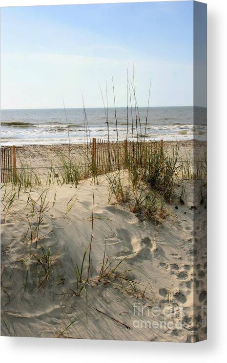 Beach Canvas Print featuring the photograph Dune by Angela Rath
