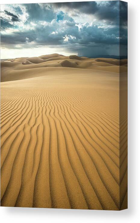 Algodones Dunes Canvas Print featuring the photograph Dunes and Distant Cloudburst by Alexander Kunz