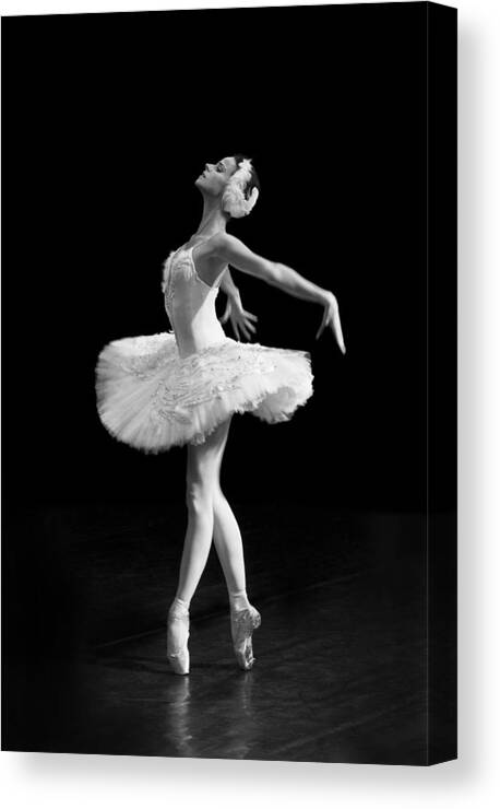 Clare Bambers Canvas Print featuring the photograph Dying Swan I Alternative Size by Clare Bambers