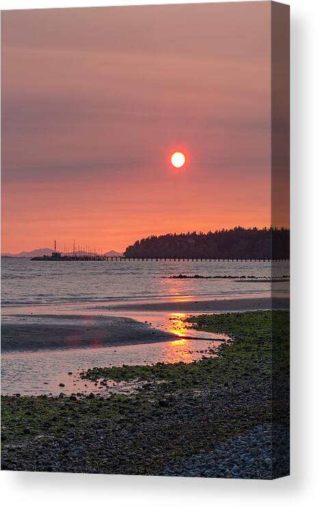 Algae Canvas Print featuring the photograph East Beach Sunset by Michael Russell