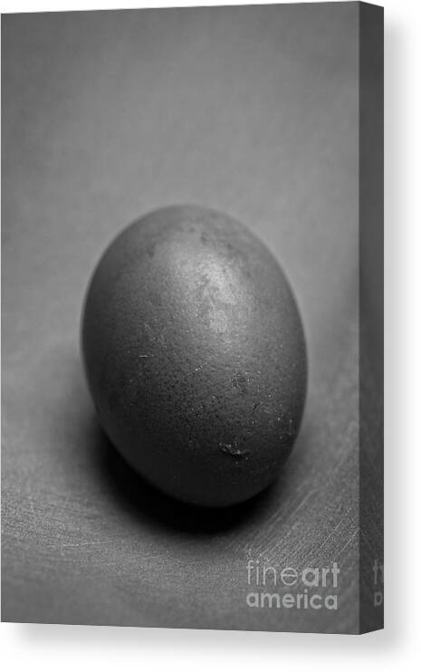 Still Canvas Print featuring the photograph Egg Black and White by Edward Fielding