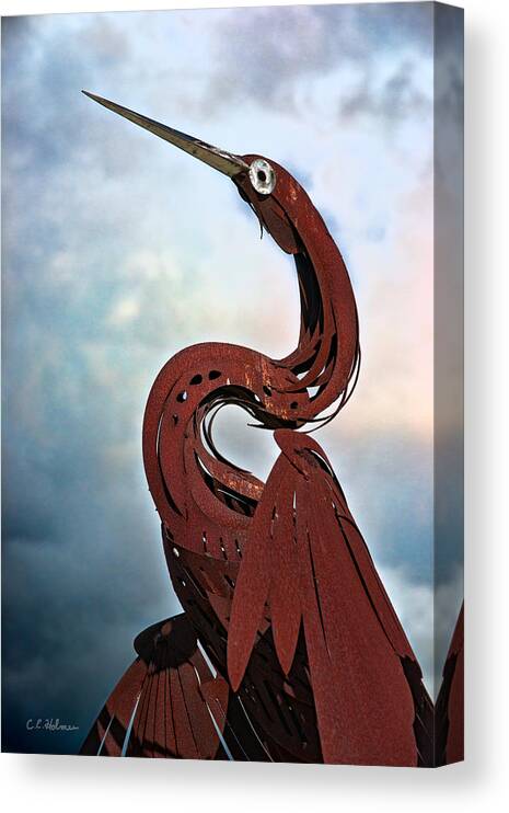 Egret Canvas Print featuring the photograph Egret Under Stormy Skies by Christopher Holmes