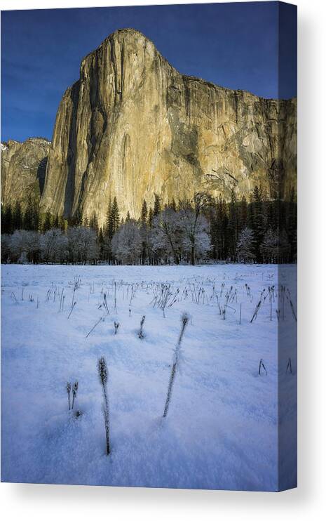 2017 Canvas Print featuring the photograph El Capitan Meadow in Winter by BJ Stockton