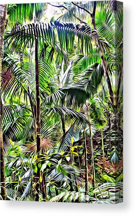 Rainforest Canvas Print featuring the photograph El Yunque rainforest 6 by Carey Chen