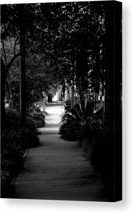 Tree Canvas Print featuring the photograph Endless by David Weeks