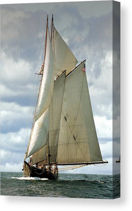Windjammer Canvas Print featuring the photograph Ernestina by Fred LeBlanc