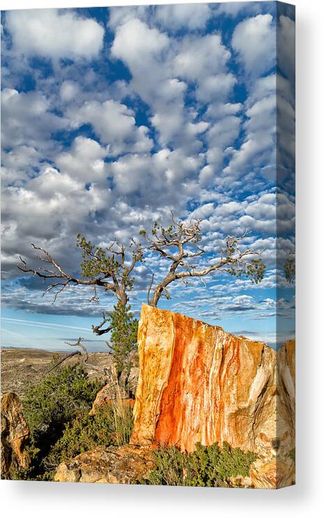 Castle Gardens Canvas Print featuring the photograph Escarpment in the Badlands by Kathleen Bishop