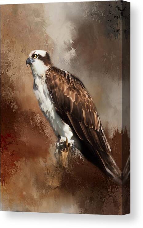 Osprey Canvas Print featuring the photograph Ever Watchful by Kim Hojnacki