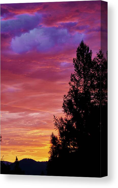 Sunrise Canvas Print featuring the photograph Exploding Color by Loni Collins