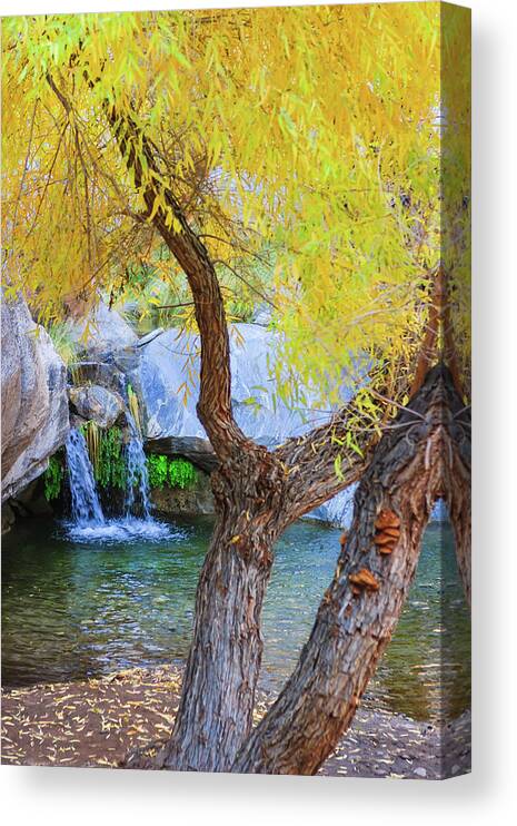 Waterfall Canvas Print featuring the photograph Fall at Murray Falls I by Scott Campbell