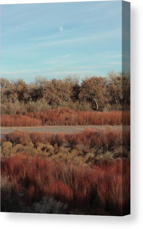 Fall Canvas Print featuring the photograph Fall Colors in the Bosque by David Diaz