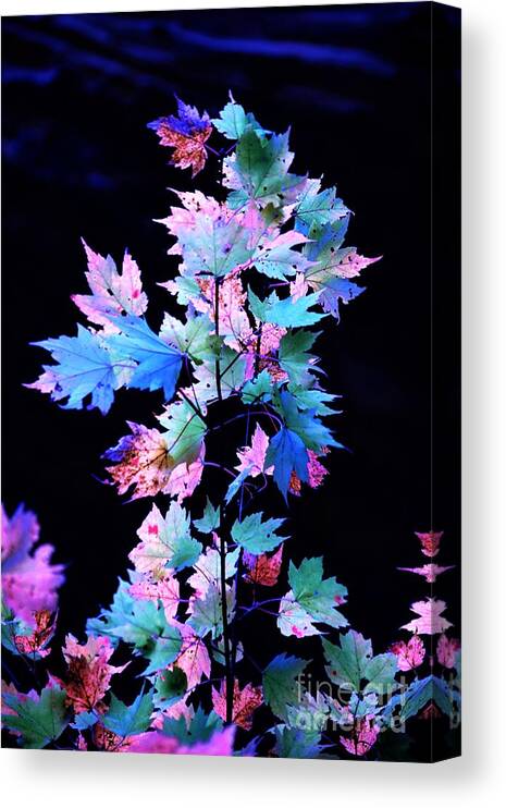 Autumn Canvas Print featuring the photograph Fall Leaves1 by Merle Grenz